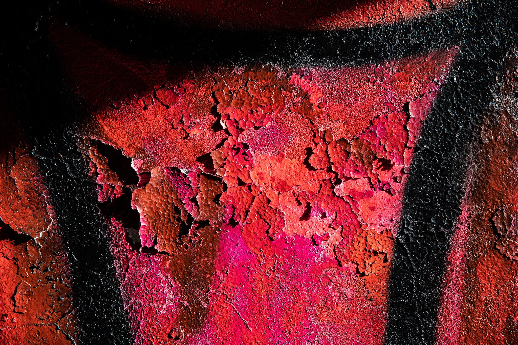 Face.hide®